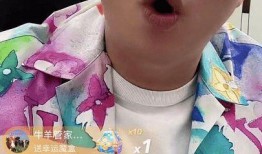 辛巴爆料二驴是真的吗视频,视频爆料背后的真实情况